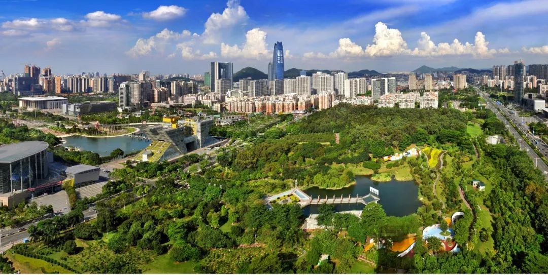 书记透露了东莞在粤港澳大湾区的这些动向!