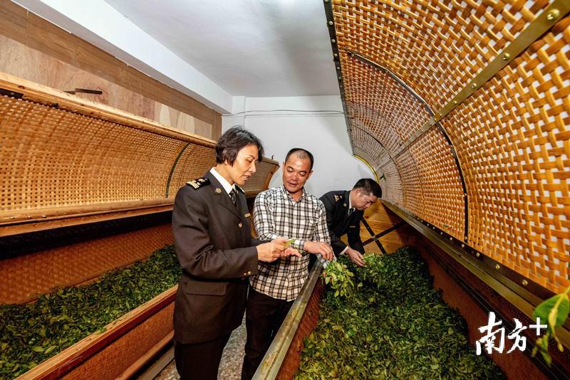 图为海关关员指导企业加强生产加工环节管理。 图为海关关员指导企业加强生产加工环节管理。