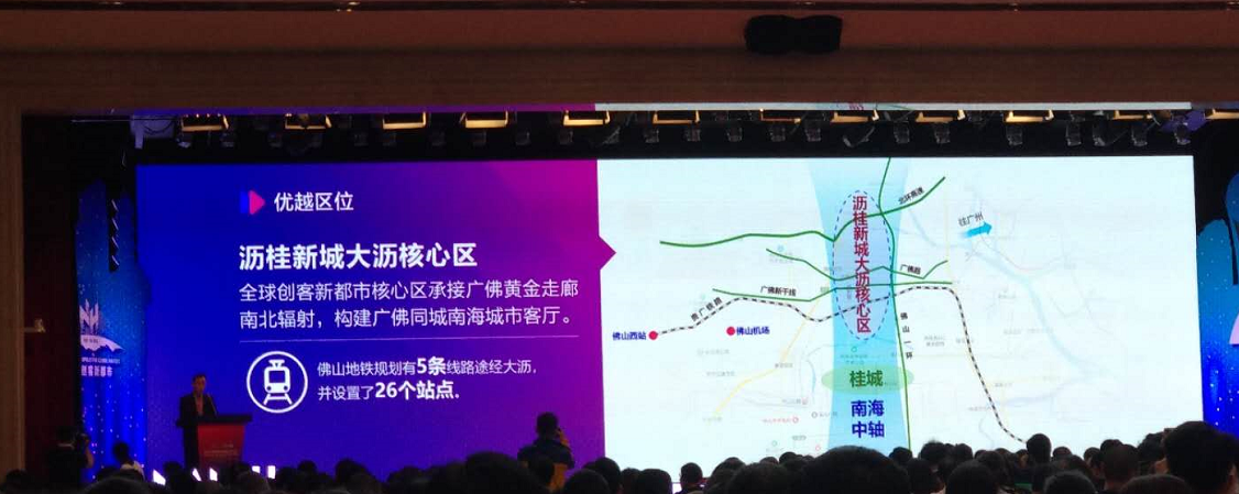 大沥镇副镇长卢锦雄在南海区城市更新工作大会暨2019年度项目投资推介会上发言。黄逸豪 摄