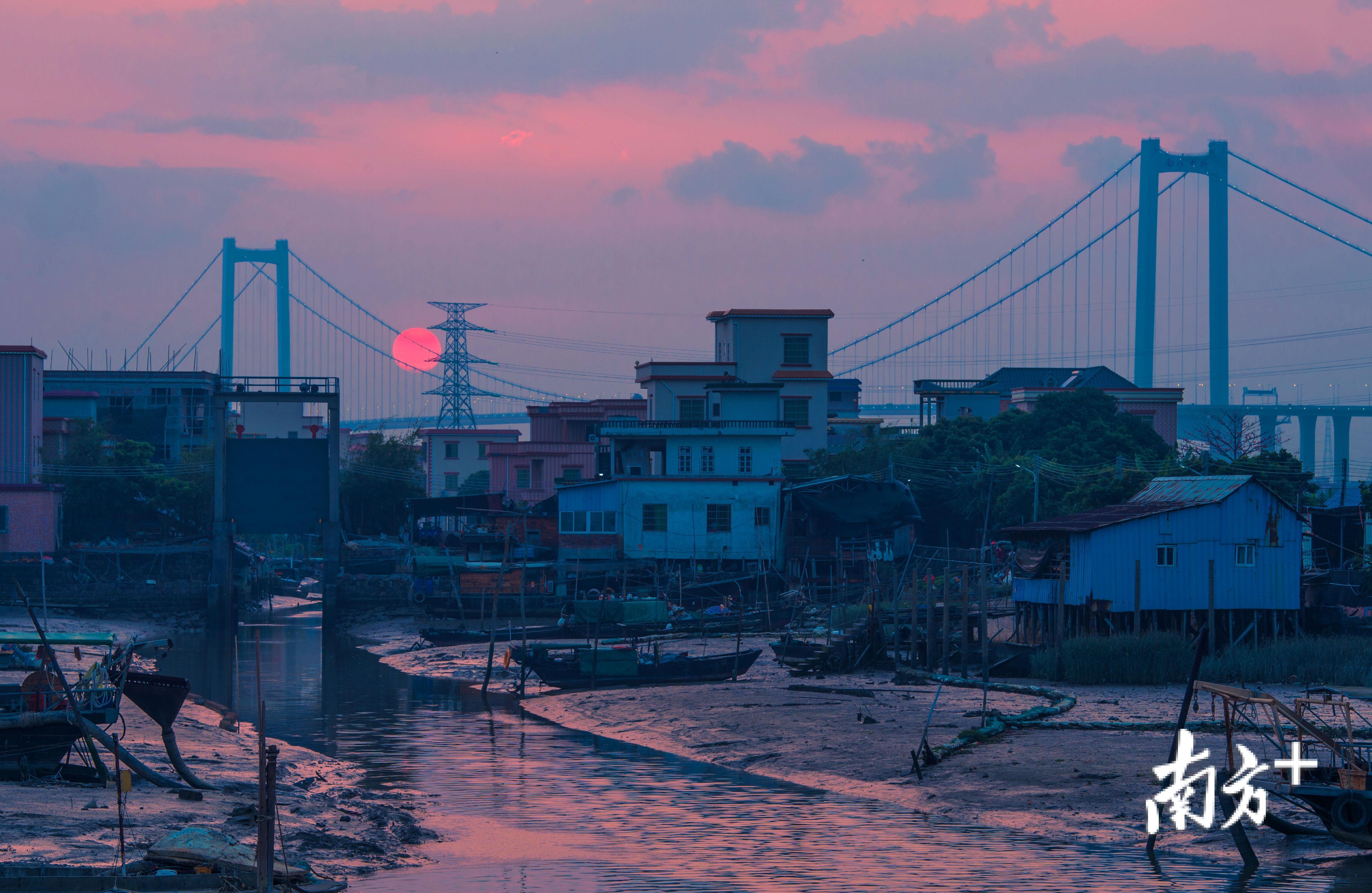 夕阳下,海鸥岛水陆交错的村庄与南沙大桥大沙水道桥交辉相应,构成一幅美丽的岭南水乡图景。 夕阳下,海鸥岛水陆交错的村庄与南沙大桥大沙水道桥交辉相应,构成一幅美丽的岭南水乡图景。