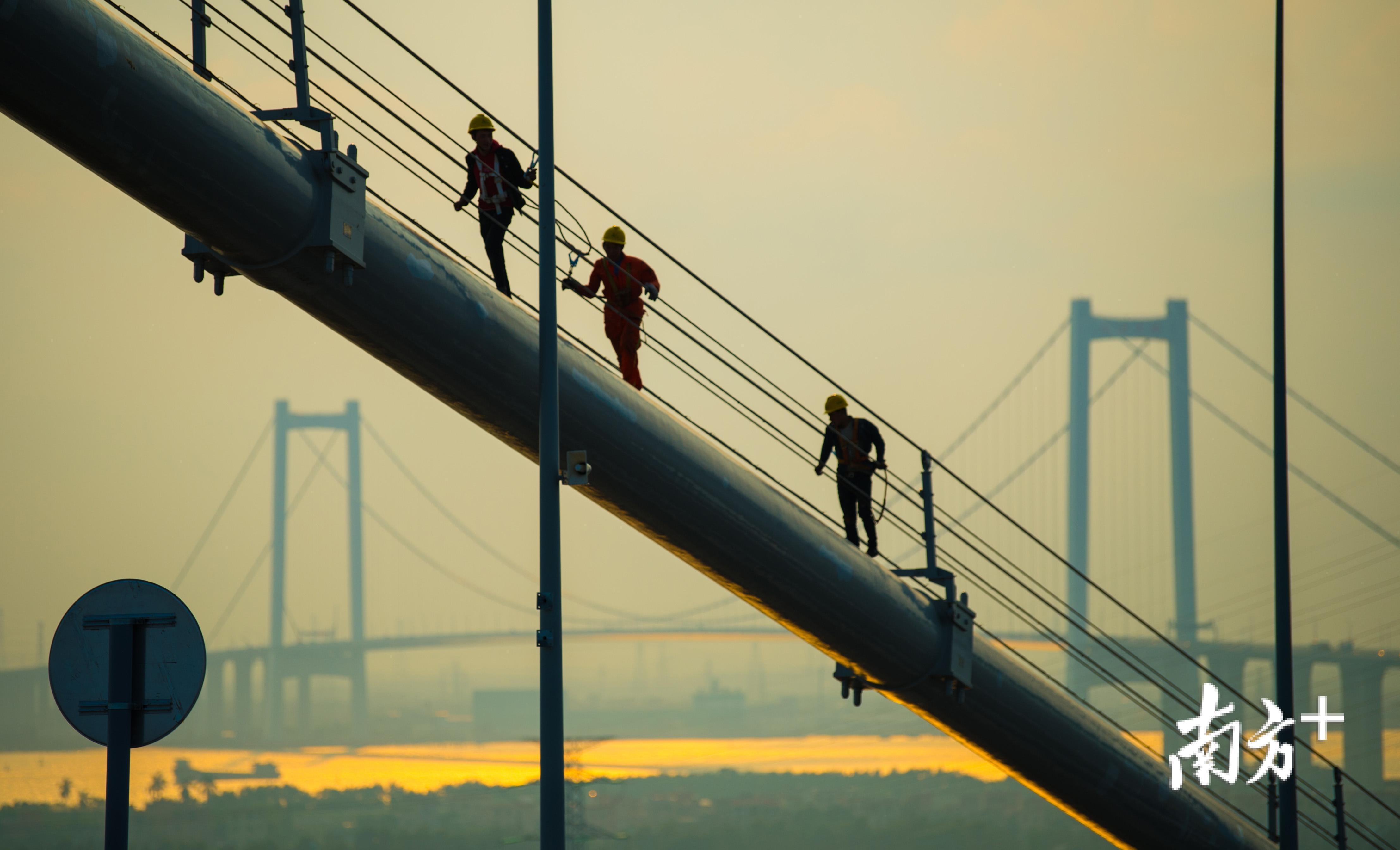 3名工人行走在上百米高的南沙大桥坭洲水道桥缆索上进行作业。 3名工人行走在上百米高的南沙大桥坭洲水道桥缆索上进行作业。