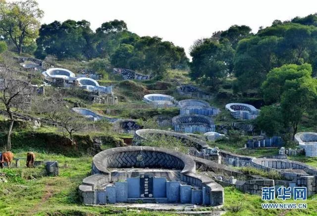 迅速清理 十日内平坟恢复植被