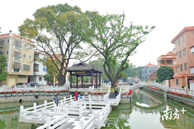 南庄大力推进乡村振计划，建设生态宜居美丽乡村。图为改造后环境优美的龙津村。戴嘉信 摄