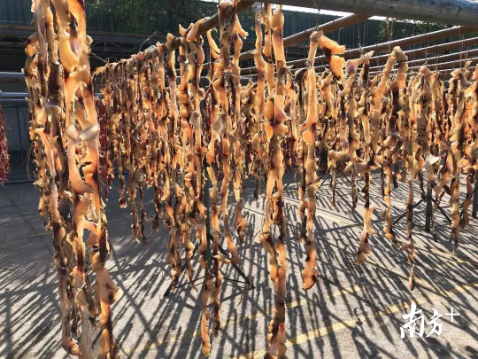 芦苞明星美食——芦苞鱼干。资料图 芦苞明星美食——芦苞鱼干。资料图