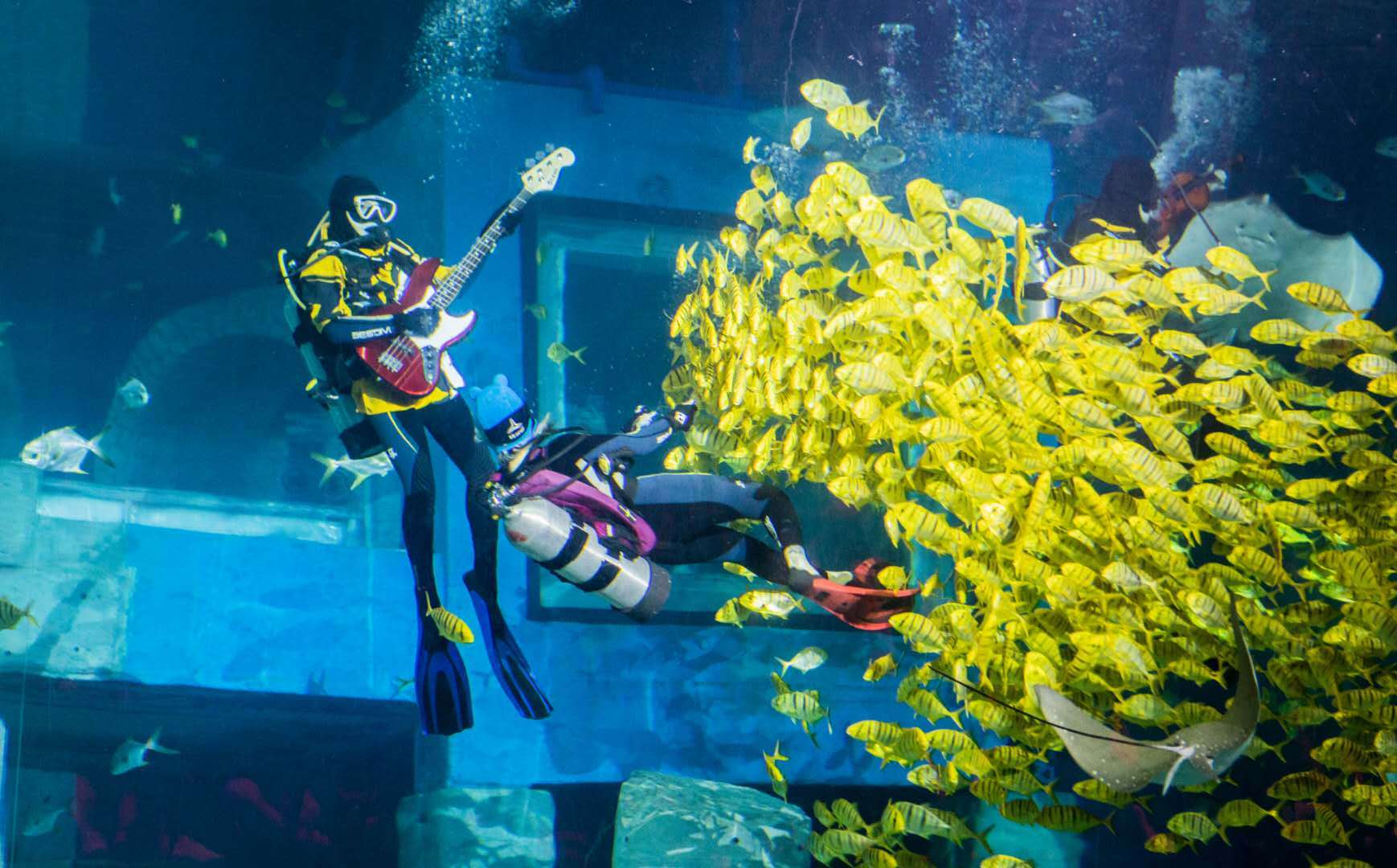 海底也能办音乐节清明假期这个水下音乐秀不想错过