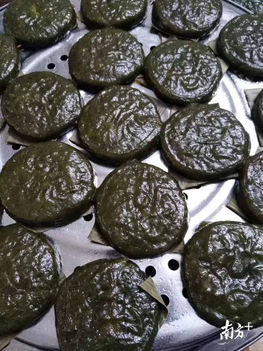 由新鲜艾草熬煮而成的汁液,混合糯米粉和粘米粉制作而成的艾饼。资料图 由新鲜艾草熬煮而成的汁液,混合糯米粉和粘米粉制作而成的艾饼。资料图