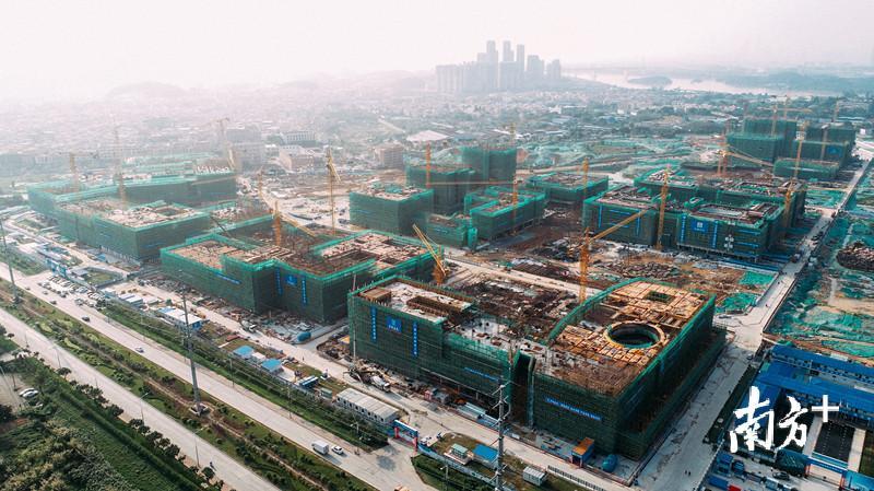 75广州国际科技创新城打造广深港澳科技创新走廊核心平台"在番禺,读