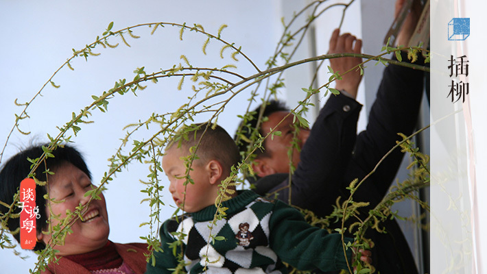 谈天说粤|清明时节,调畅情志,送你护肝小窍门_南方plus_南方 