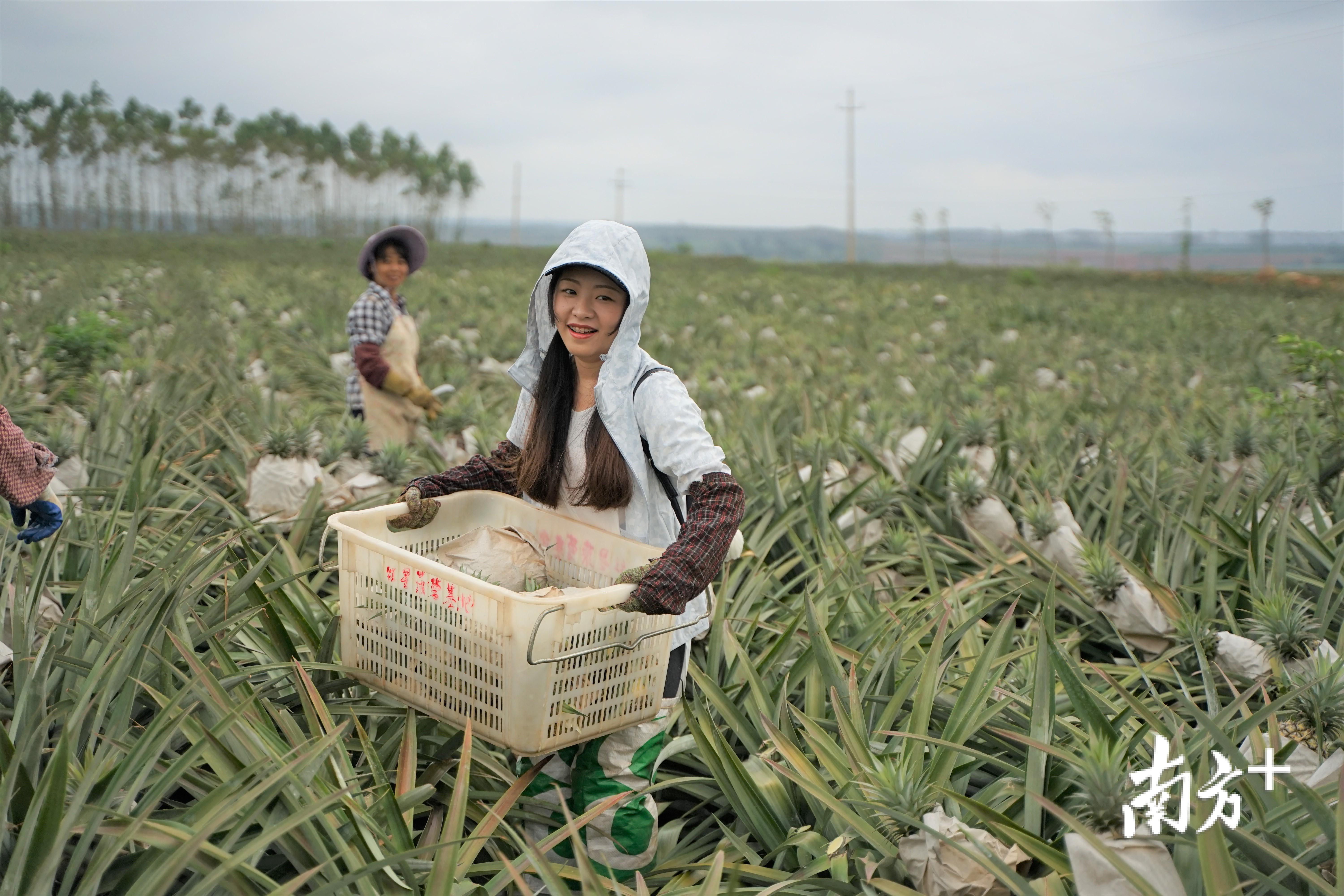 徐闻雏鹰基地食堂图片