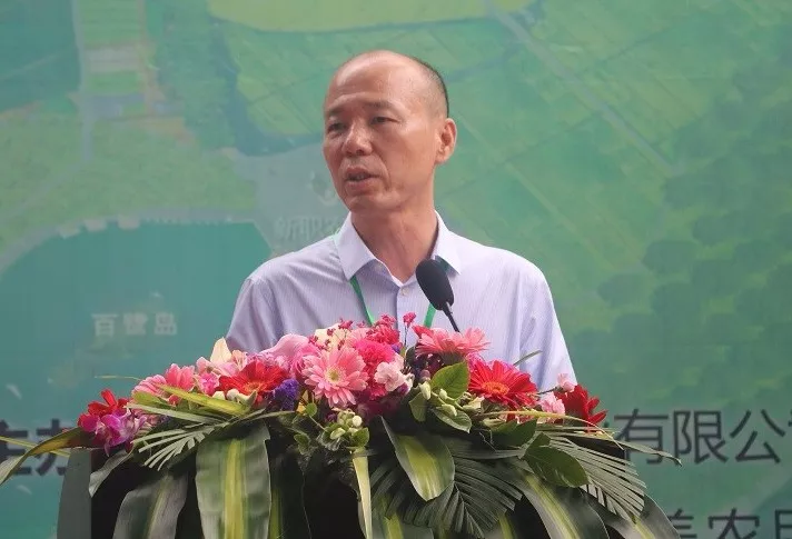 雷州市绿富种养农民合作社社长吴志德