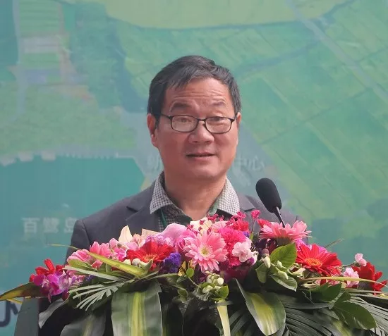 广东省农民专业合作推广中心主任洪生