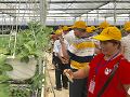 三水对口帮扶湛江遂溪，三年预脱贫比率达94.7%