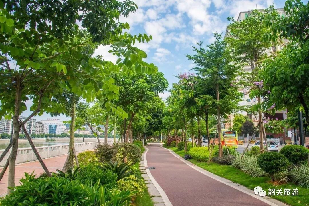 邂逅小清新!发现广东绿道的别样美景