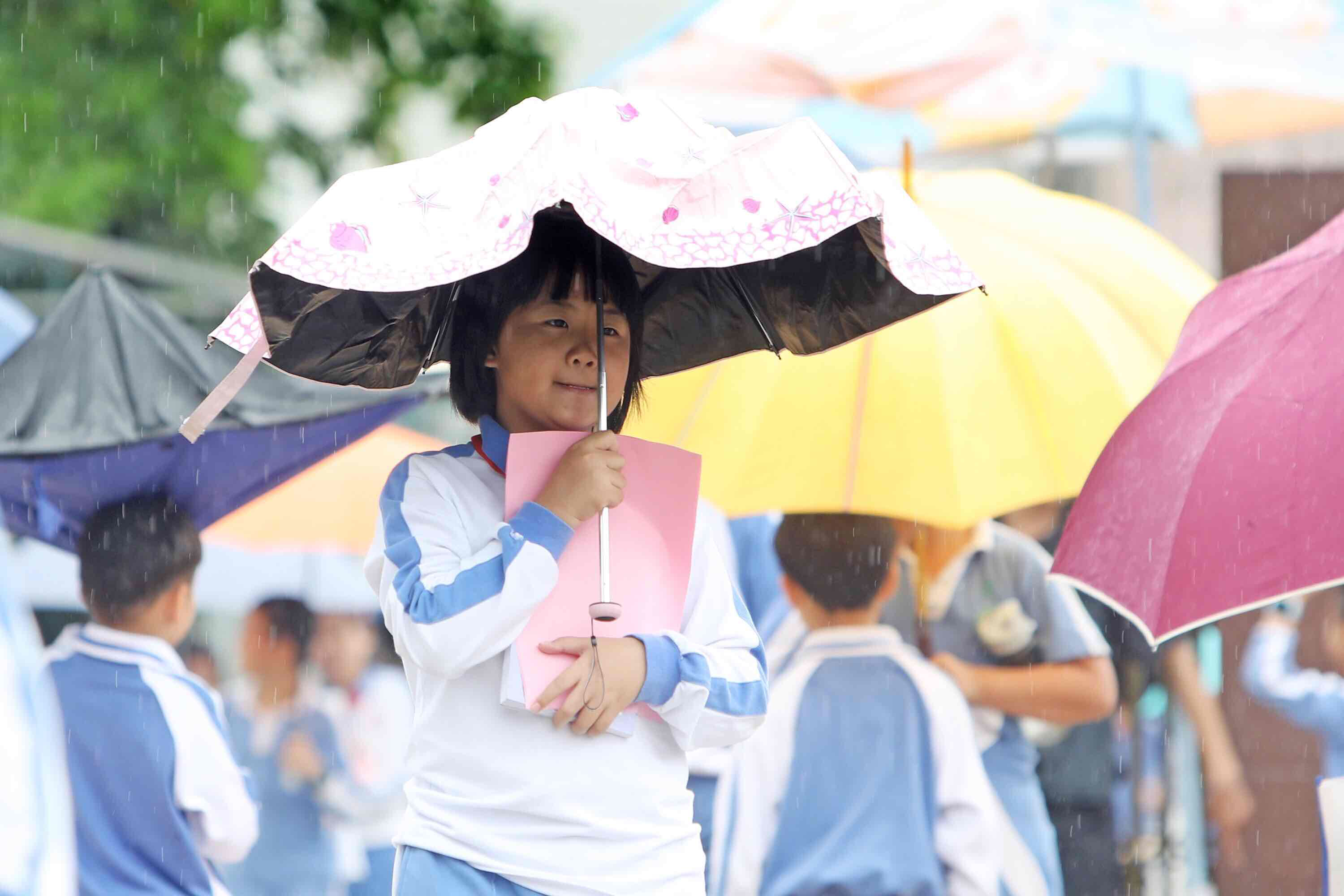 图集|为你遮风挡雨!深圳街头雨中温情一幕