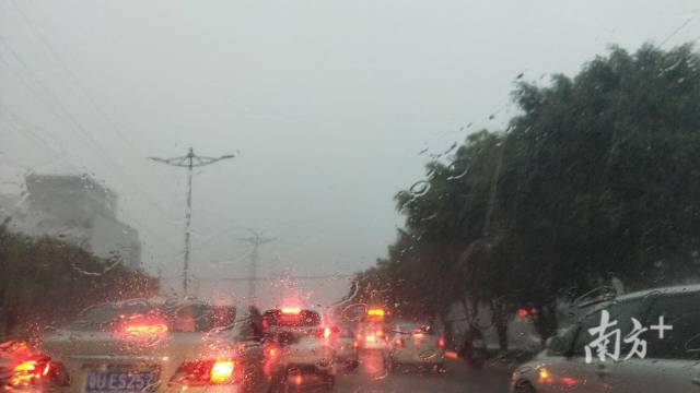 图为今晨潮汕公路。 徐榛 摄