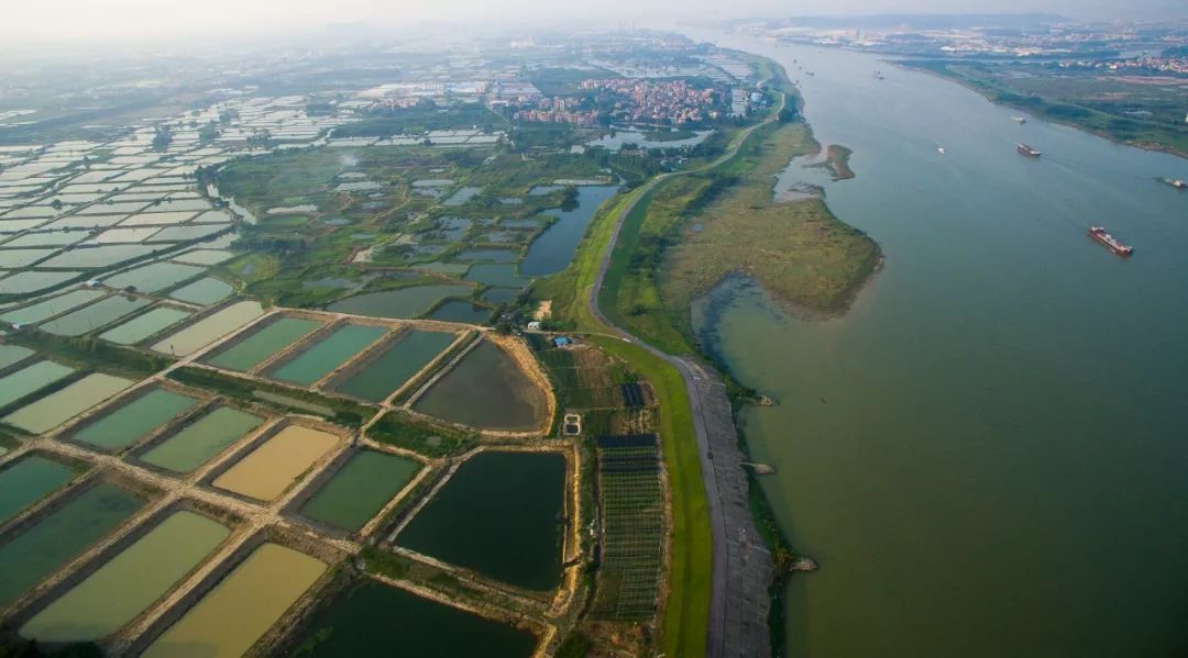 金沙岛国家湿地公园沿岸风光 金沙岛国家湿地公园沿岸风光