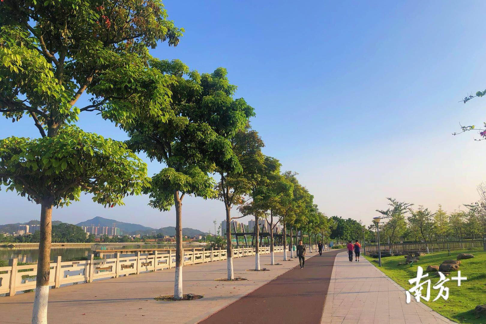 东江湾公园内市民在绿道散步 