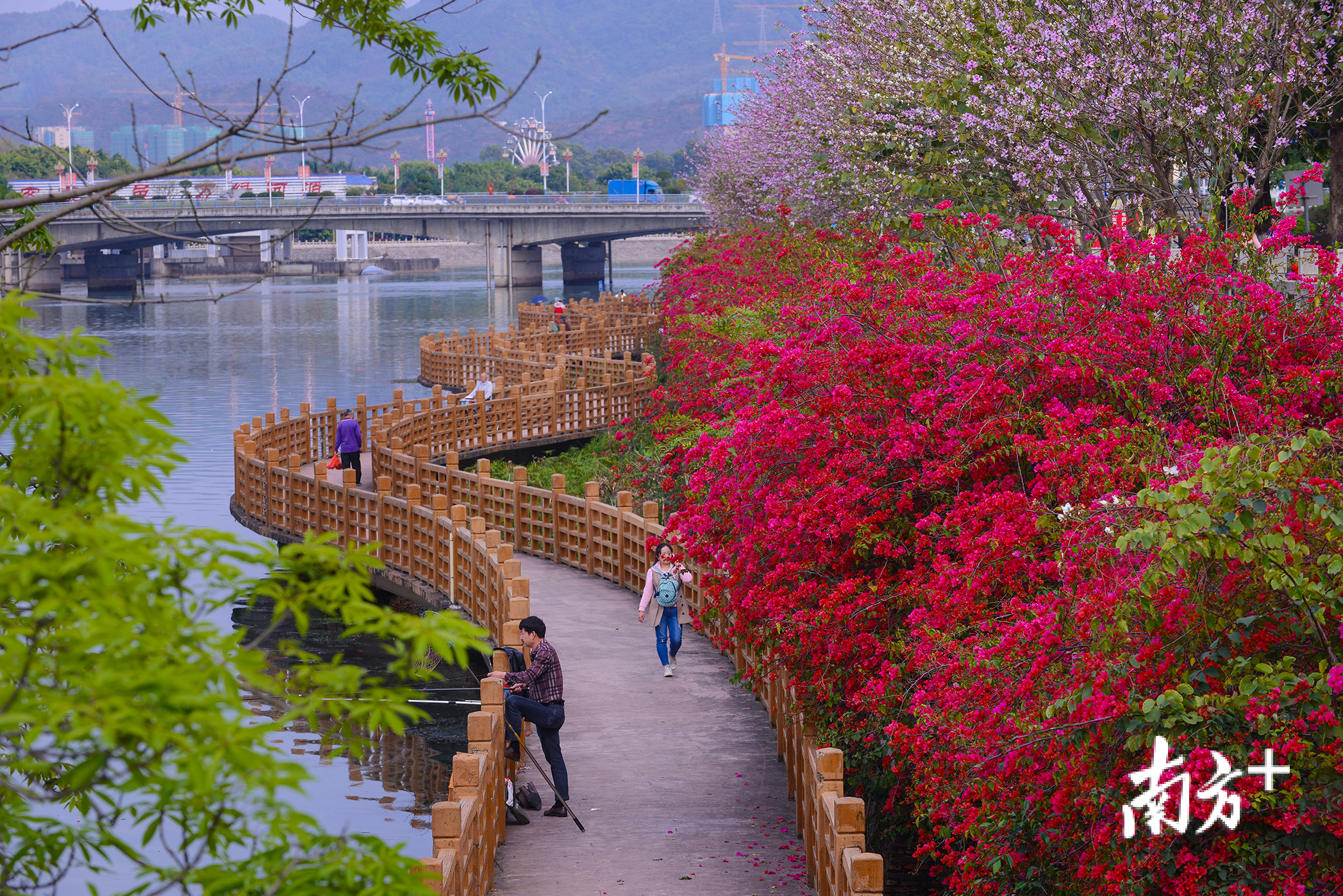 新丰江亲水步道 