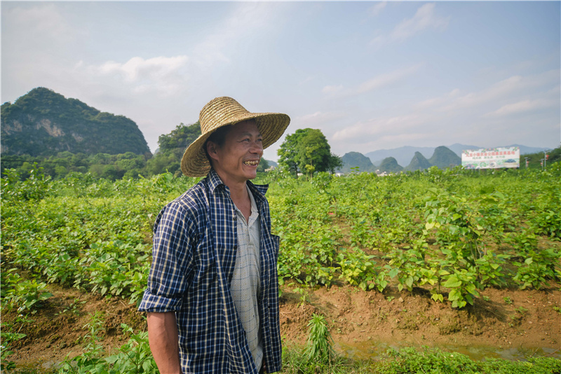 村民陈井清承包管理十多亩桑芽菜地