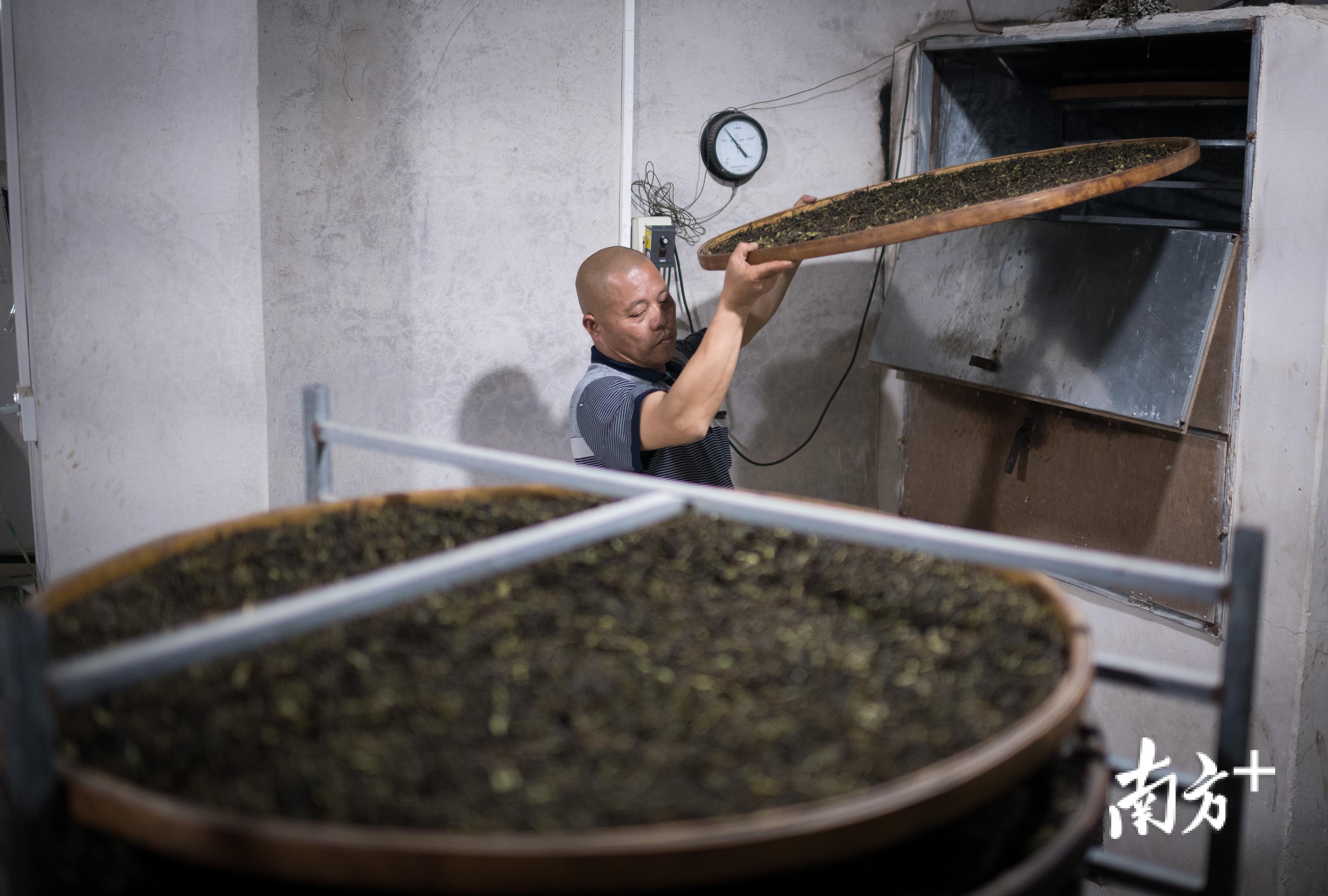 魏庆祥正在烘焙茶叶。