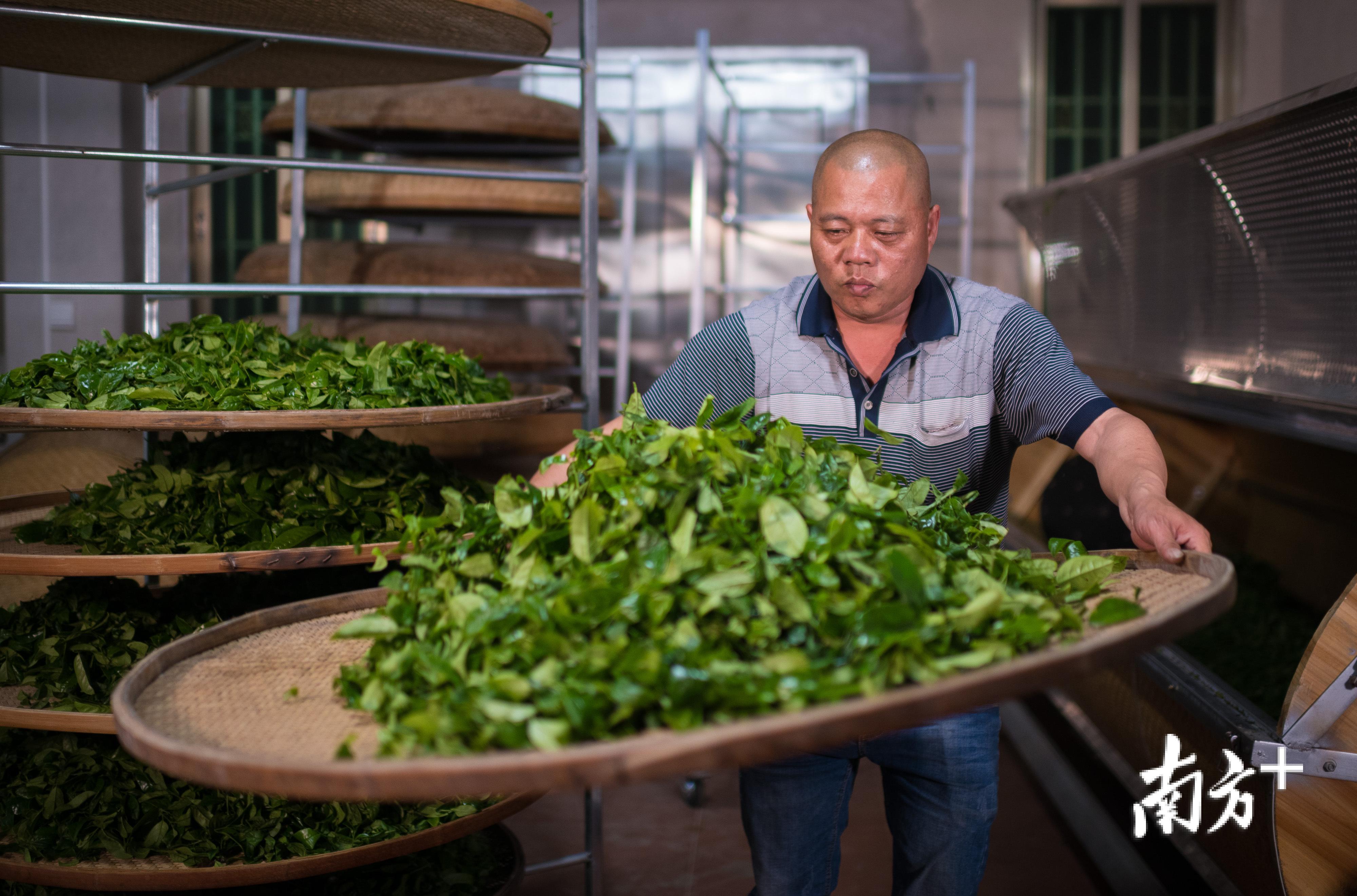 魏庆祥正在“浪茶”。