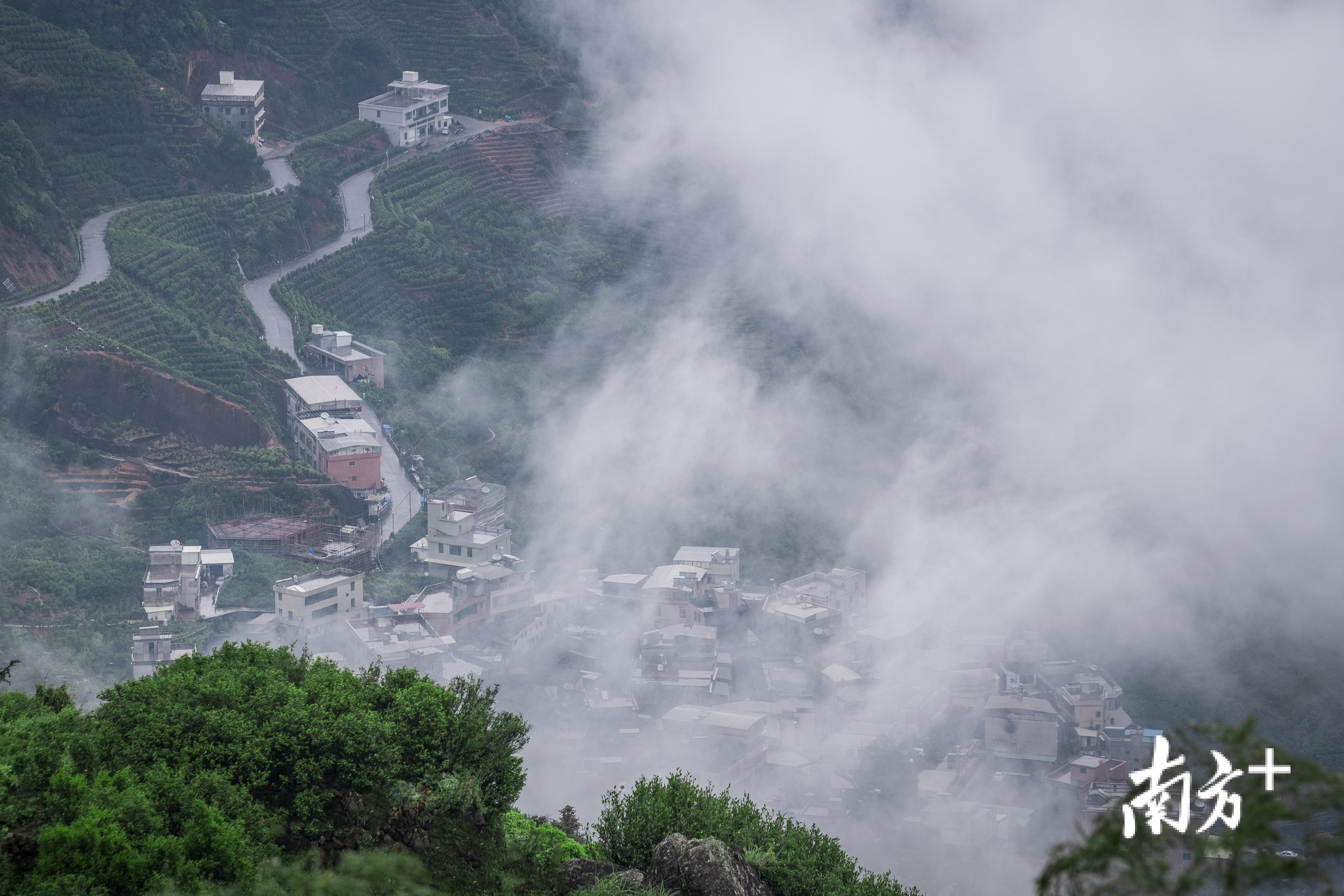 潮州乌岽村位于海拔1319米的凤凰山岭乌岽山东山腰，以山名村，村里户户种茶、制茶，全村共有茶园330亩。