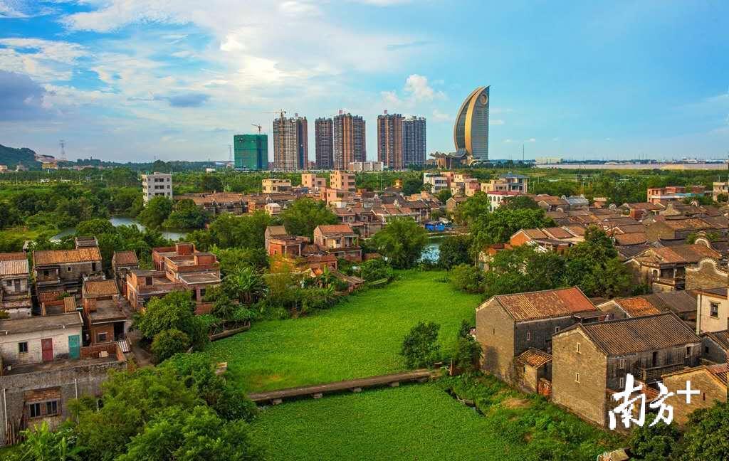 高明在乡村容貌提升考评工作中设立了“红黑榜”机制，在全区范围内营造激励先进、鞭策后进的浓郁氛围。资料图片