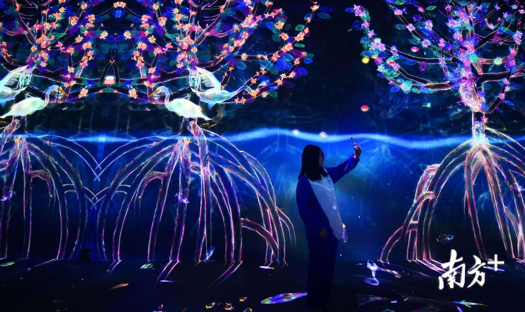 位于植物馆一层的数字艺术展厅。