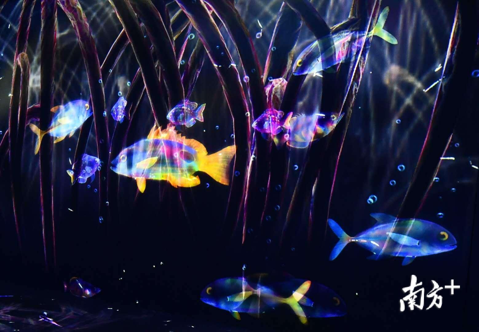 植物馆一层的数字艺术展厅，通过光影展现红树林发达的水底根系，水鸟微生物自由生长。