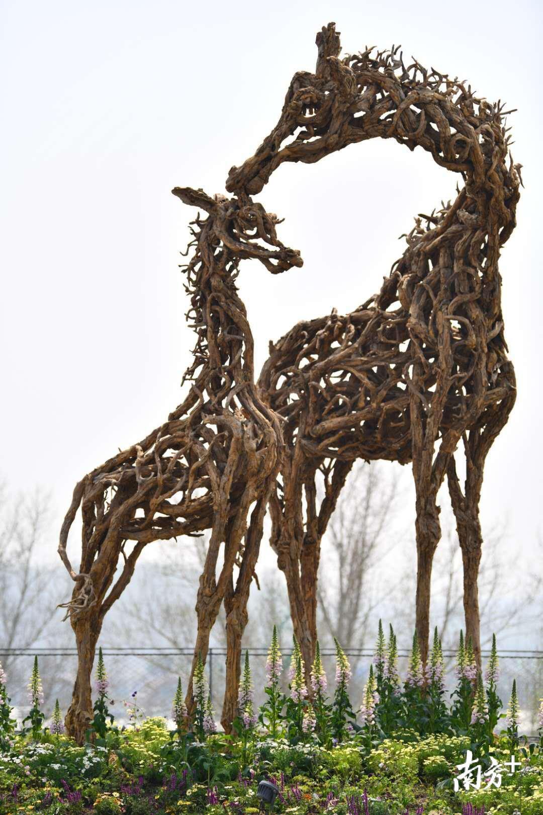 植物馆顶层展示的“莫莉和她的一家人”枯木雕塑装置。