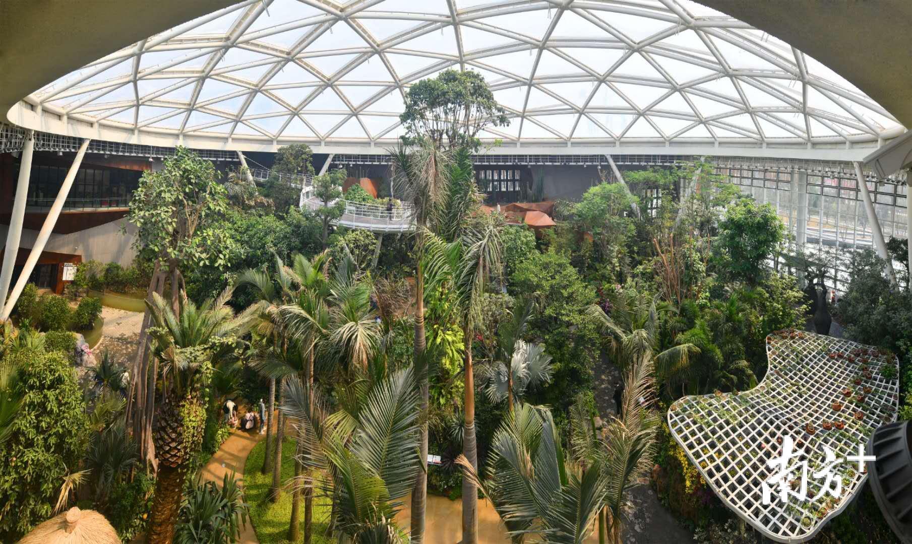 植物馆里的热带植物温室汇集了上万株珍贵植物。