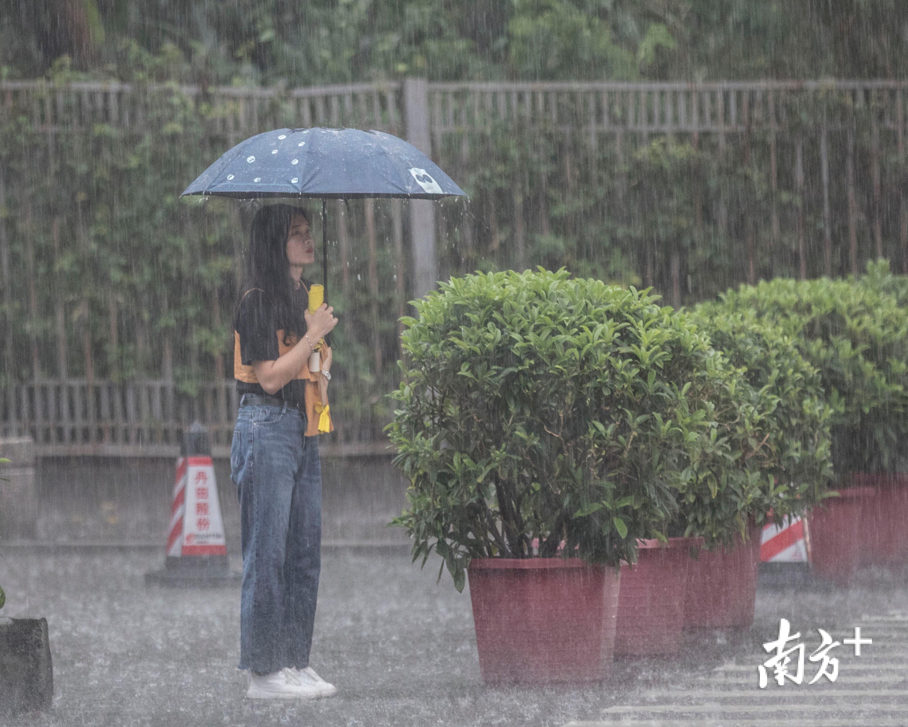 大雨撑伞图片