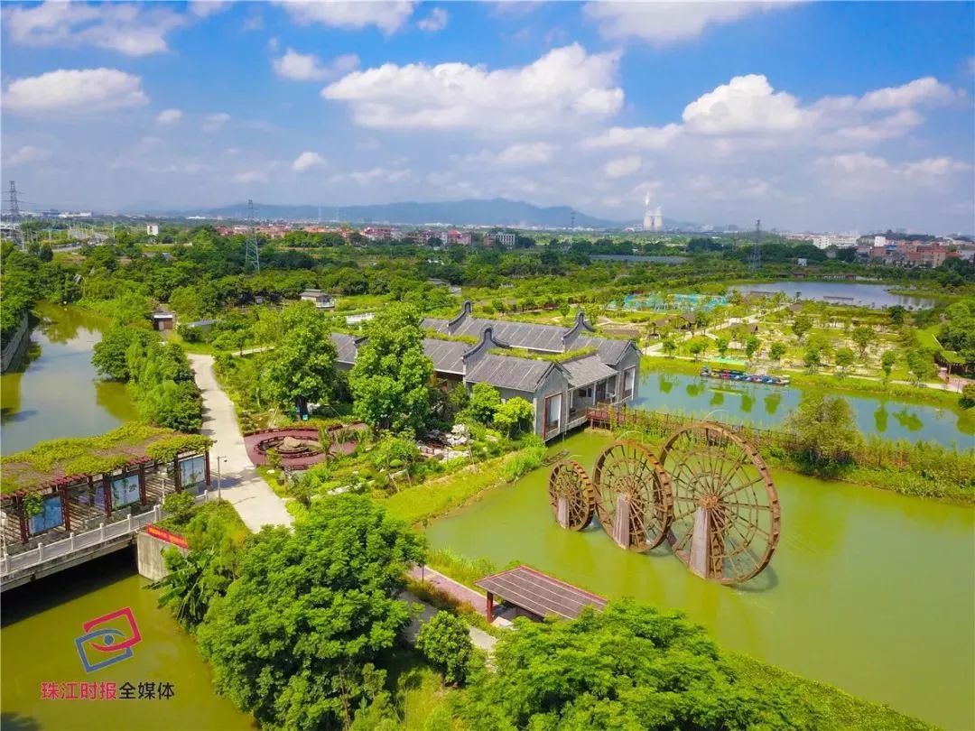 珠三角冲积平原历史以来就是鱼米之乡,由此诞生的桑基鱼塘是珠三角最