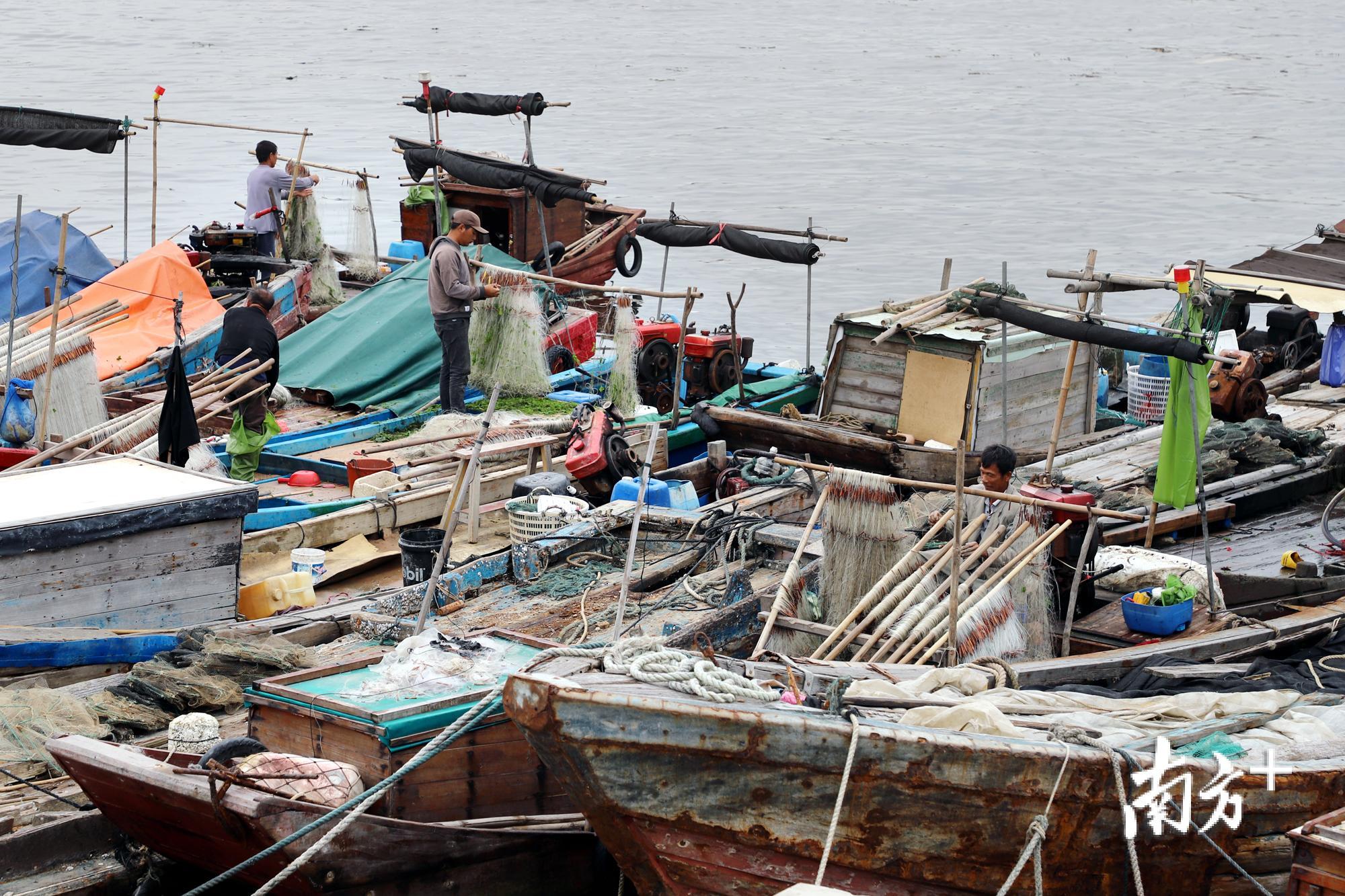 图为回港渔民正在整理准备封存的渔网。