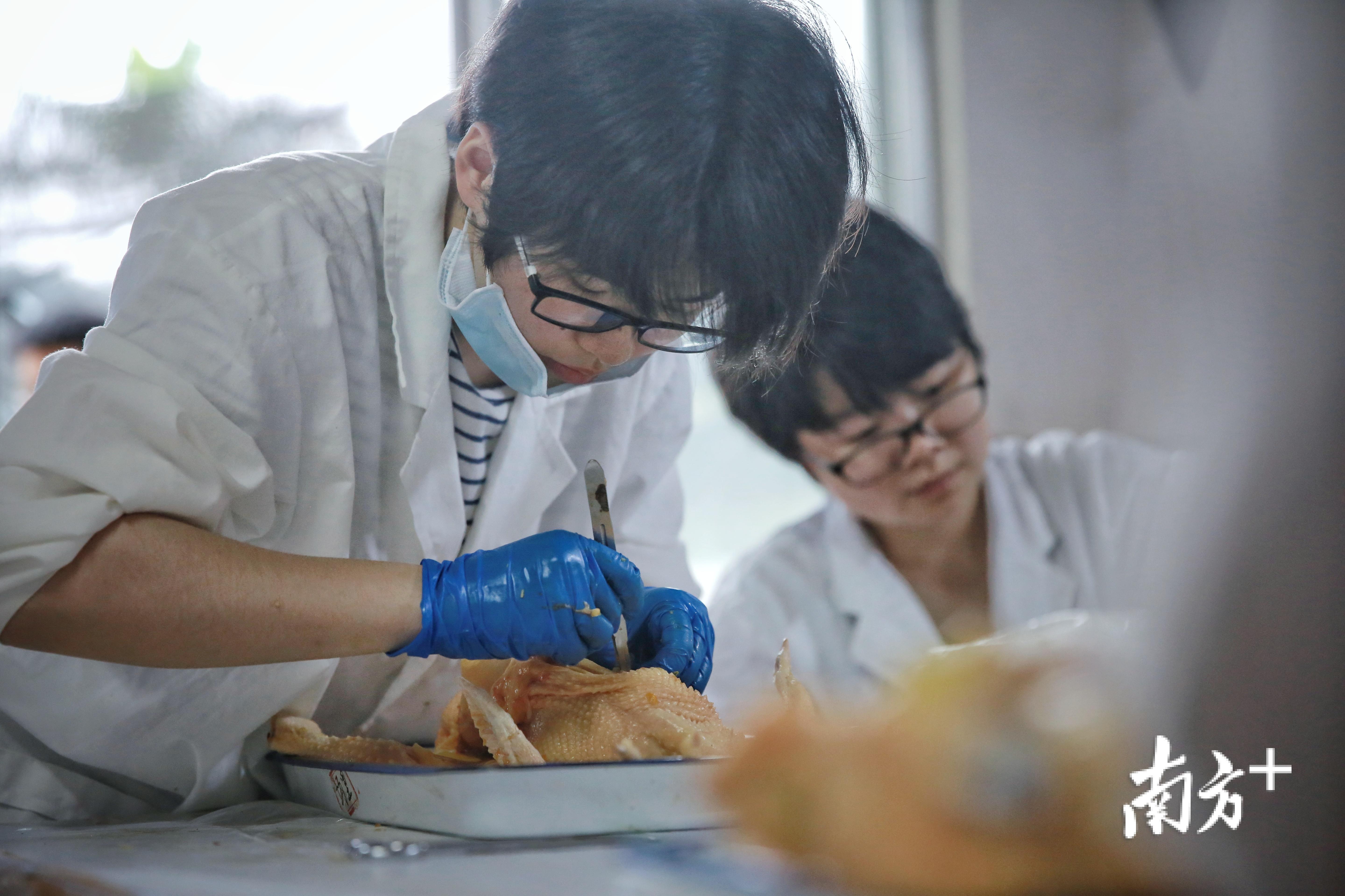 石门鸡场就成了华农师生的另一个"课堂",学生常常深入鸡舍,为企业育种