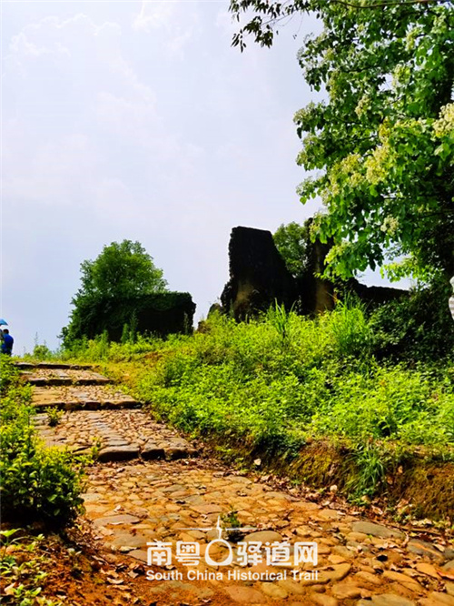 图为保存完好的河源田源古道本体。 图为保存完好的河源田源古道本体。