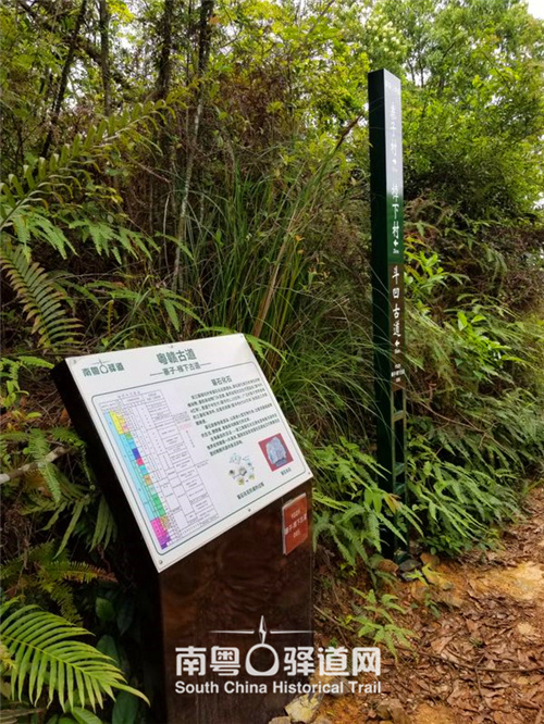 图为东源寨子-樟下古道“菊石化石”科普信息牌。 图为东源寨子-樟下古道“菊石化石”科普信息牌。