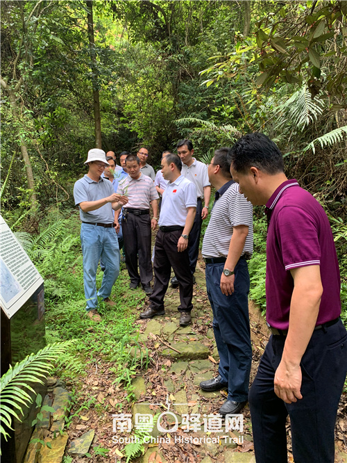 图为华南农业大学吴永彬副教授(图左)讲解古道上丰富的植物资源。 图为华南农业大学吴永彬副教授(图左)讲解古道上丰富的植物资源。