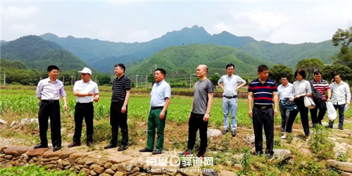 图为技术指导组指导连平田源古道保护修复工作。 图为技术指导组指导连平田源古道保护修复工作。