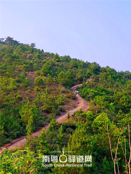 图为连平关爷埂古道。 图为连平关爷埂古道。