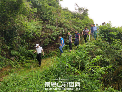 图为技术指导组实地踏勘连平田源古道。 图为技术指导组实地踏勘连平田源古道。