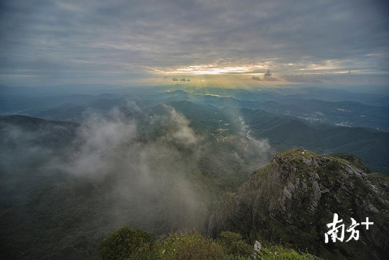 云雾笼罩下的阴那山。何森垚摄 云雾笼罩下的阴那山。何森垚摄
