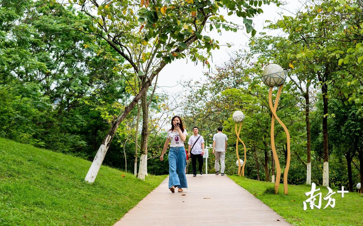 森林公园里的小道是市民散步的必经之处。颜廷昊摄 森林公园里的小道是市民散步的必经之处。颜廷昊摄
