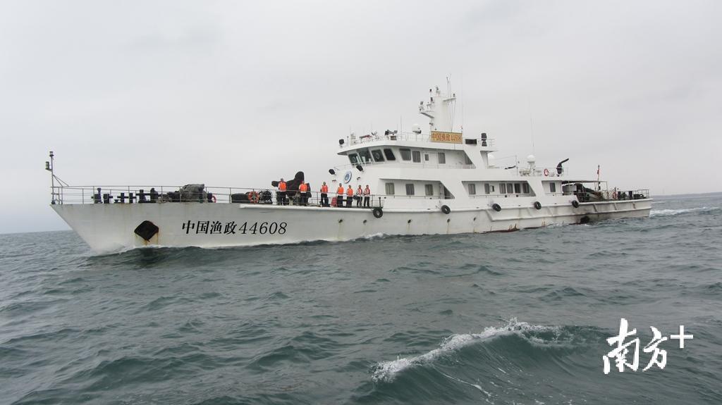 为进一步加大海上执法力度，渔政汕头支队“中国渔政44608船”开展汕头辖区海域巡航。