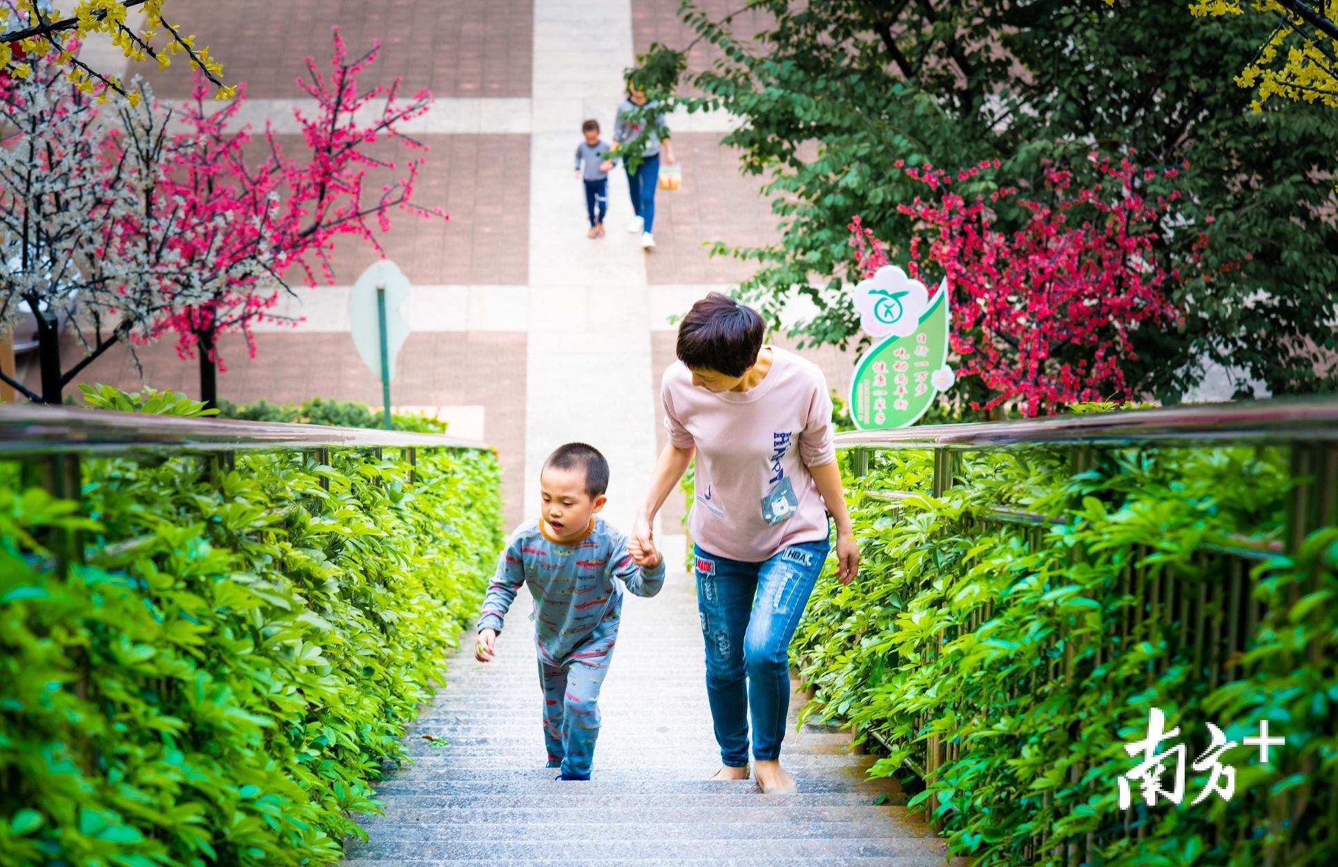 一位母亲正带着孩子在梅花山森林公园感受春天的气息。颜廷昊摄 一位母亲正带着孩子在梅花山森林公园感受春天的气息。颜廷昊摄