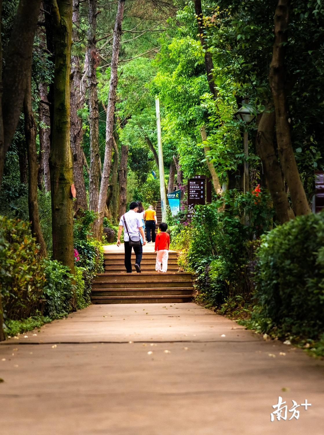 清晨,不少市民前往森林公园散步,呼吸新鲜空气。颜廷昊摄 清晨,不少市民前往森林公园散步,呼吸新鲜空气。颜廷昊摄