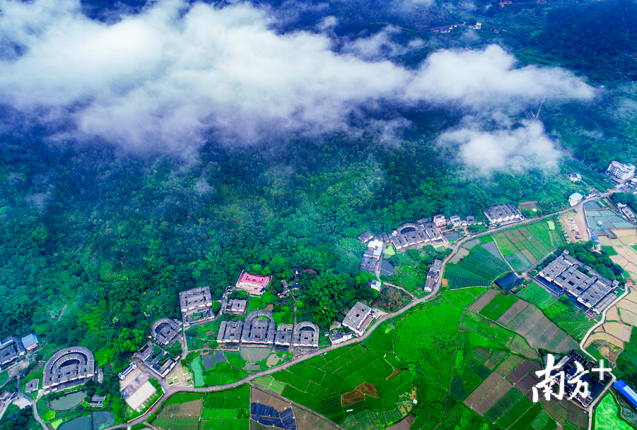 梅县区南口镇被青山绿树包围,尽显诗意。宋志锋摄 梅县区南口镇被青山绿树包围,尽显诗意。宋志锋摄
