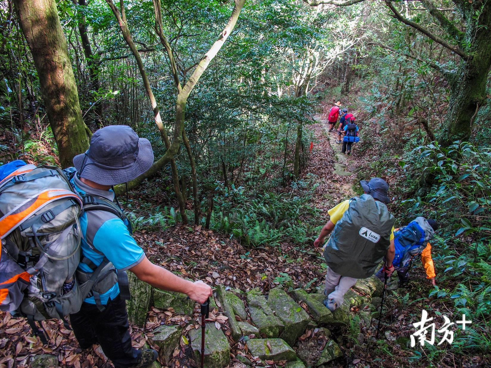 登山爱好者正前往阴那山山顶。何森垚摄 登山爱好者正前往阴那山山顶。何森垚摄
