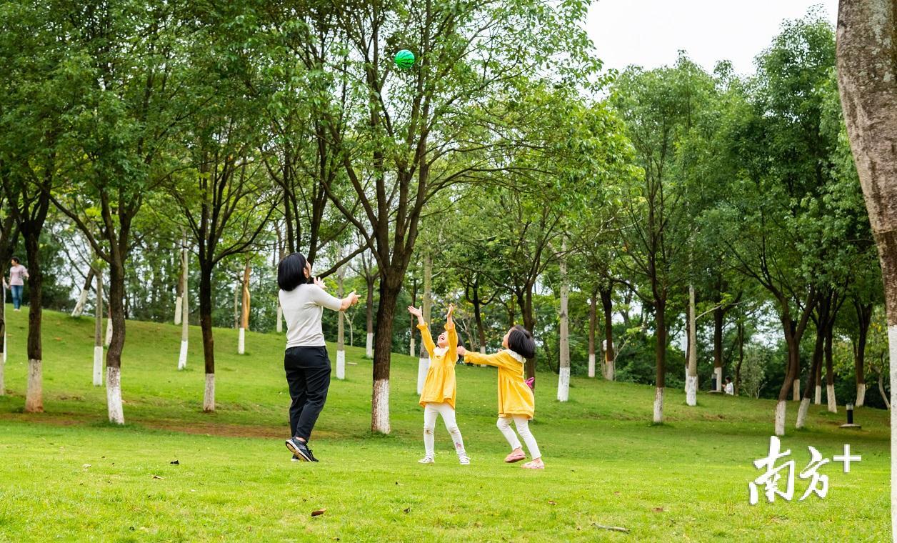 环境优美的梅花山森林公园成了孩童玩耍的好去处。颜廷昊摄 环境优美的梅花山森林公园成了孩童玩耍的好去处。颜廷昊摄