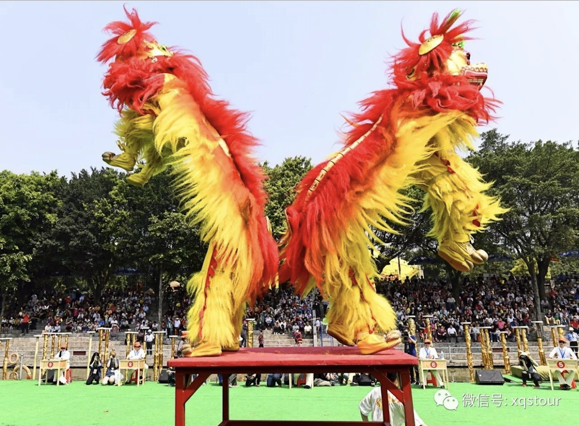 西樵山南北狮王表演。